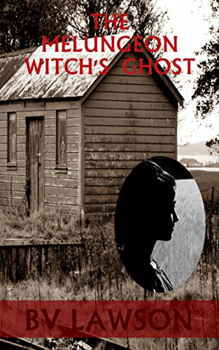 The Melungeon Witch's Ghost book cover