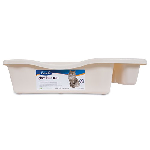 Best Large Cat Litter Boxes for Big Cats & Maine Coons (2026)