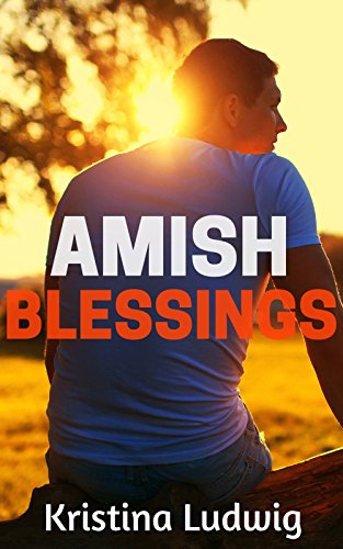 Amish Blessings book cover