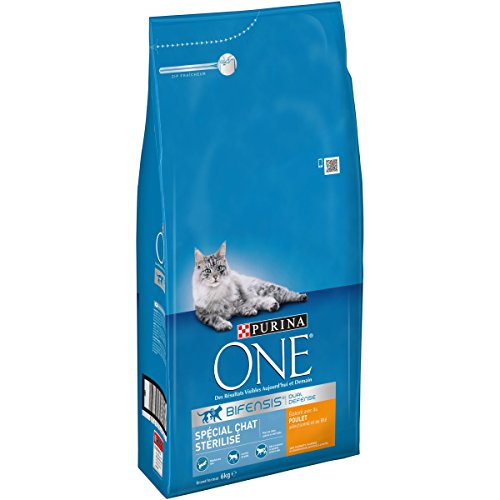Purina ONE Special Stérilisé 3 kg