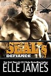 SEAL's Defiance (Take No Prisoners #7)