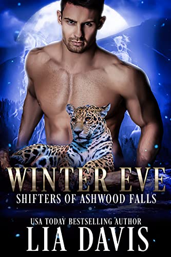 Winter Eve book cover