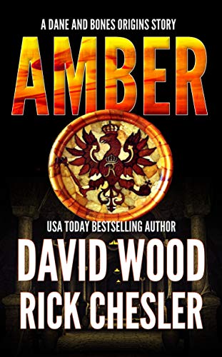 Amber book cover