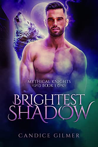 Brightest Shadow book cover