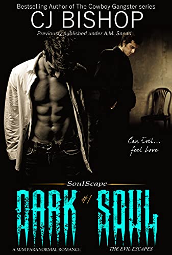 Dark Soul book cover