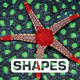 Shapes Picture This English Edition