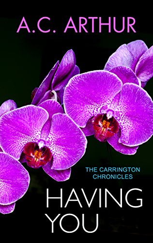 Having You book cover