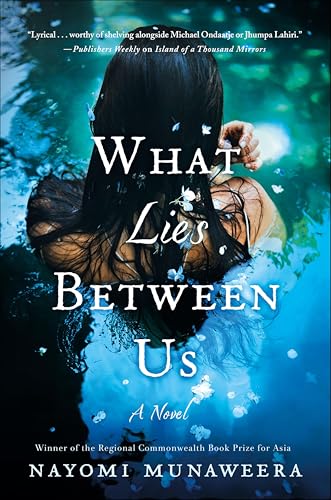 What Lies Between Us:A Novel
