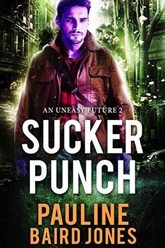Sucker Punch book cover