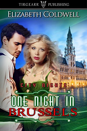 One Night in Brussels book cover