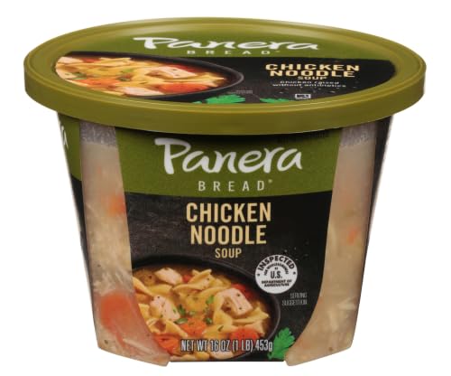 Panera Bread Chicken Noodle Soup, 16 oz