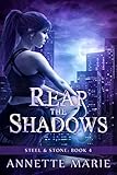 Reap The Shadows Steel Stone Book 4 English Edition