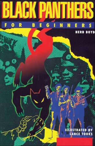 Black Panthers For Beginners book cover