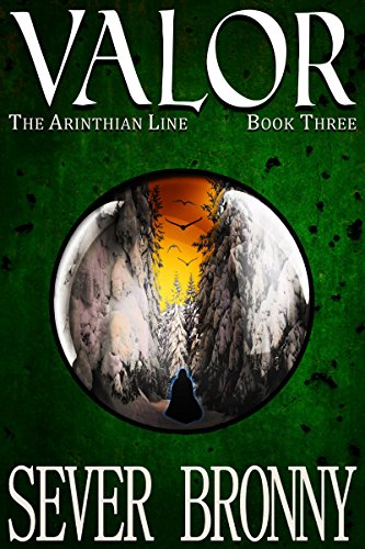 Valor book cover