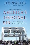 Americas Original Sin Racism White Privilege And The Bridge To A New America