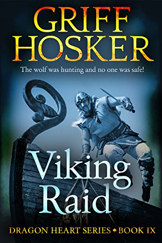 Viking Raid cover