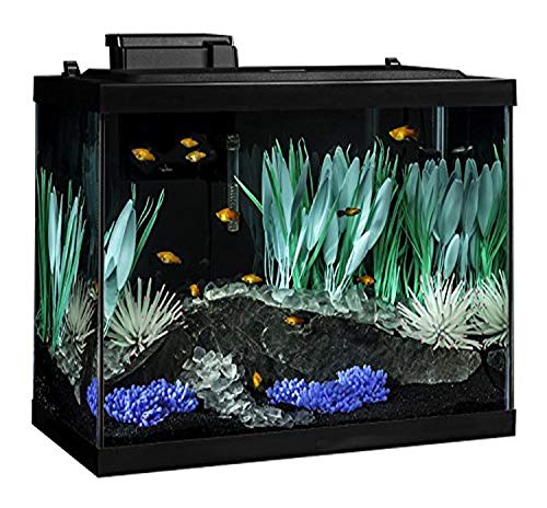 Tetra ColorFusion Aquarium 20 Gallon Fish Tank Kit A large, 20-gallon fish tank