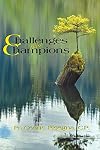 Challenges Make Champions: How Adversities Can Elevate You