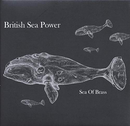 Sea of Brass