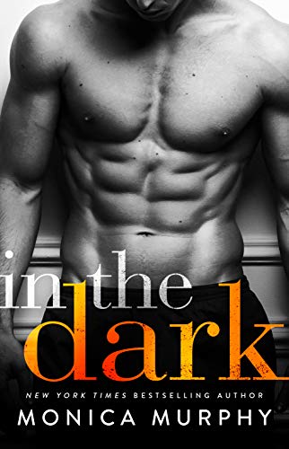 In The Dark book cover