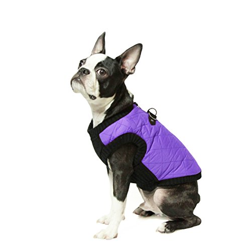 Gooby Fashion Vest | Dog Jacket - Violet, X-Large | Warm Zip Up Bomber Vest with Dual D Ring Leash | Winter Water Resistant Sweater for Small, Medium Dogs