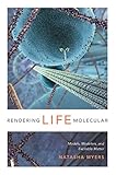 Rendering Life Molecular Models Modelers And Excitable Matter Experimental Futures English Edition