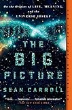 The Big Picture On The Origins Of Life Meaning And The Universe Itself English Edition