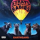 Strays With Rabies (2015)