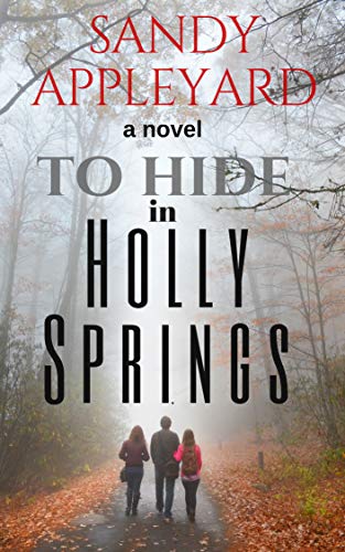 To Hide in Holly Springs book cover