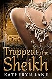 Trapped By The Sheikh English Edition