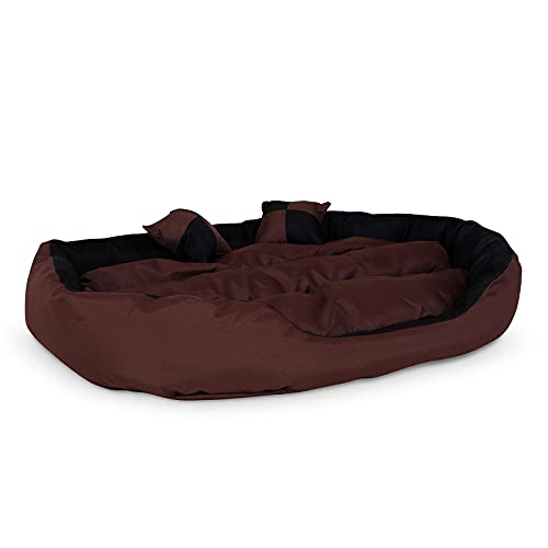 🔥 STARKER PREIS (-36%) lionto Hundebett 4-in-1 mit Wendekissen, 110 x 80 cm, Schwarz
