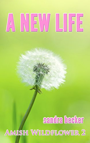 A New Life book cover