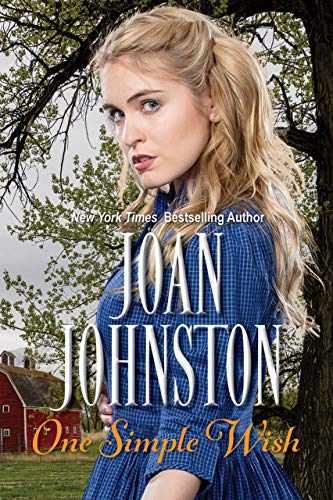 One Simple Wish book cover