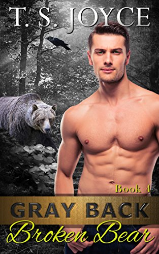 Gray Back Broken Bear book cover