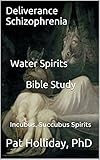 Deliverance Schizophrenia Water Spirits Bible Study The Shattered Mind English Edition