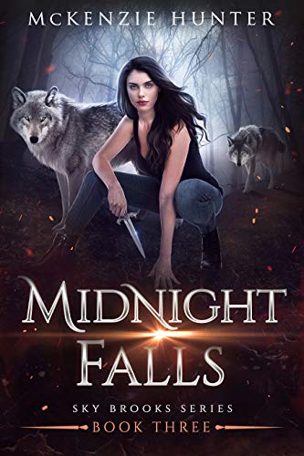 Midnight Falls book cover