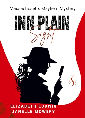 Inn Plain Sight book cover