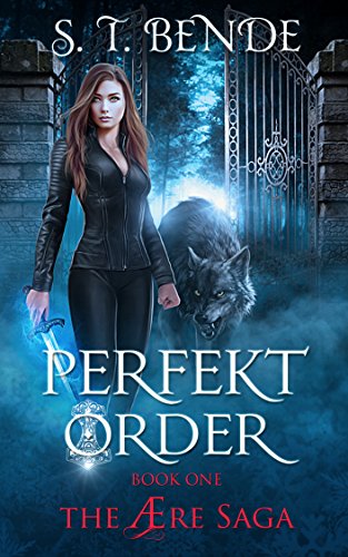 Perfekt Order book cover