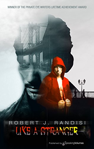 Like a Stranger book cover