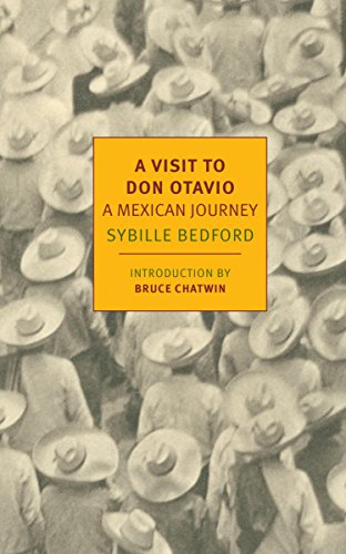 A Visit to Don Otavio book cover