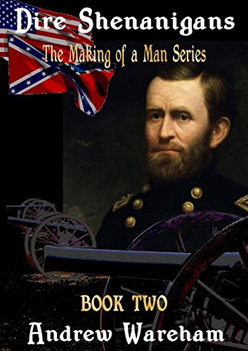 Dire Shenanigans book cover