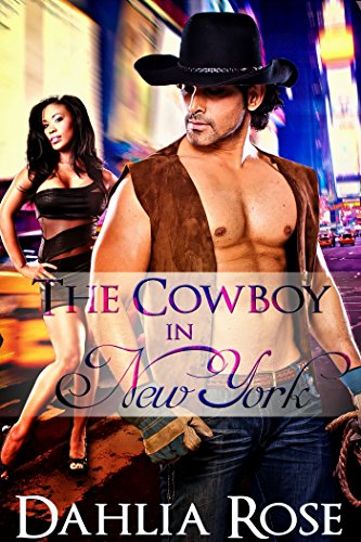 The Cowboy in New York book cover