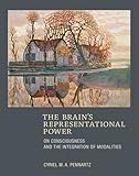 The Brains Representational Power On Consciousness And The Integration Of Modalities The Mit Press English Edition