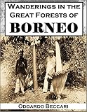 Wanderings In The Great Forests Of Borneo Travels And Researches Of A Naturalist In Sarawak English Edition