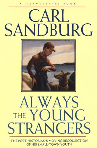 Always the Young Strangers book cover