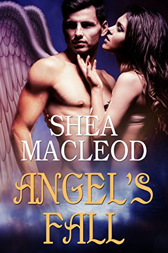 Angel's Fall book cover
