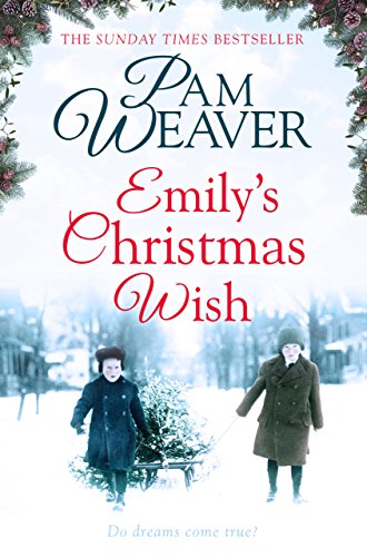Emily's Christmas Wish book cover