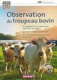 Observation Du Troupeau Bovin (agriproduction)