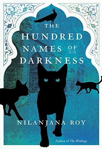 The Hundred Names of Darkness book cover