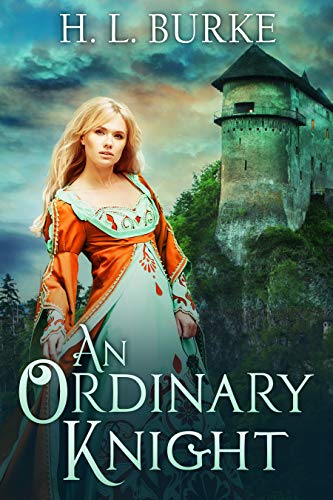 An Ordinary Knight book cover